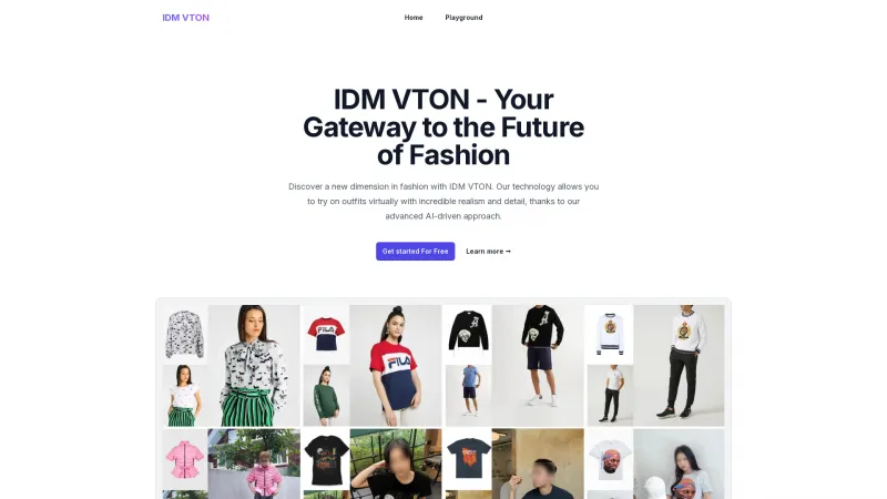 idmvton